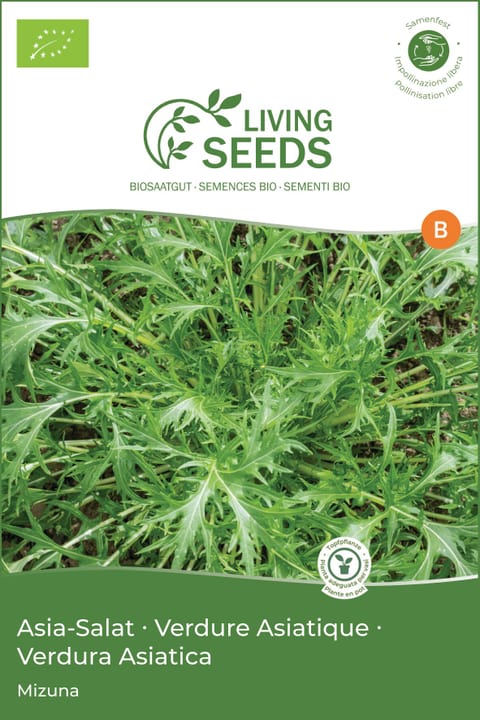 Image of Living Seeds Asia-Salat Gemüsesamen