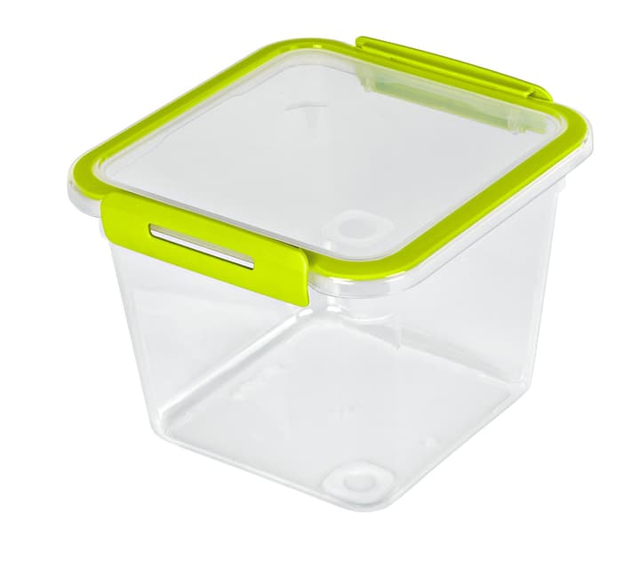 Image of Rotho Kühlschrankdose 1.6 l MEMORY Küche bei Do it + Garden von Migros