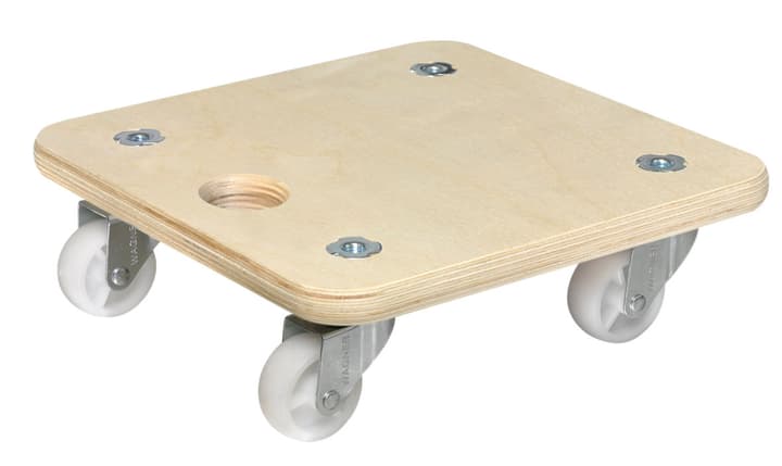 Image of Wagner System Transporthilfe 290 x mm Transporthelfer bei Do it + Garden von Migros