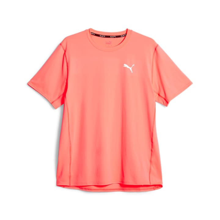 Image of Puma Run Cloudspun SS Tee Laufshirt hellrot