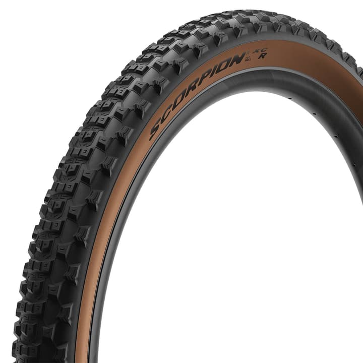 Image of Pirelli Scorpion XC H Pro Veloreifen schoko bei Migros SportXX