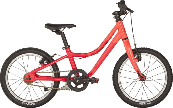 Image of Crosswave Prime Rider 16' Kindervelo himbeer bei Migros SportXX