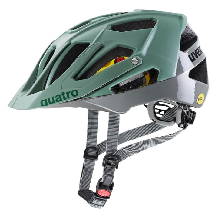 Image of Uvex Quatro cc Mips Velohelm moos bei Migros SportXX