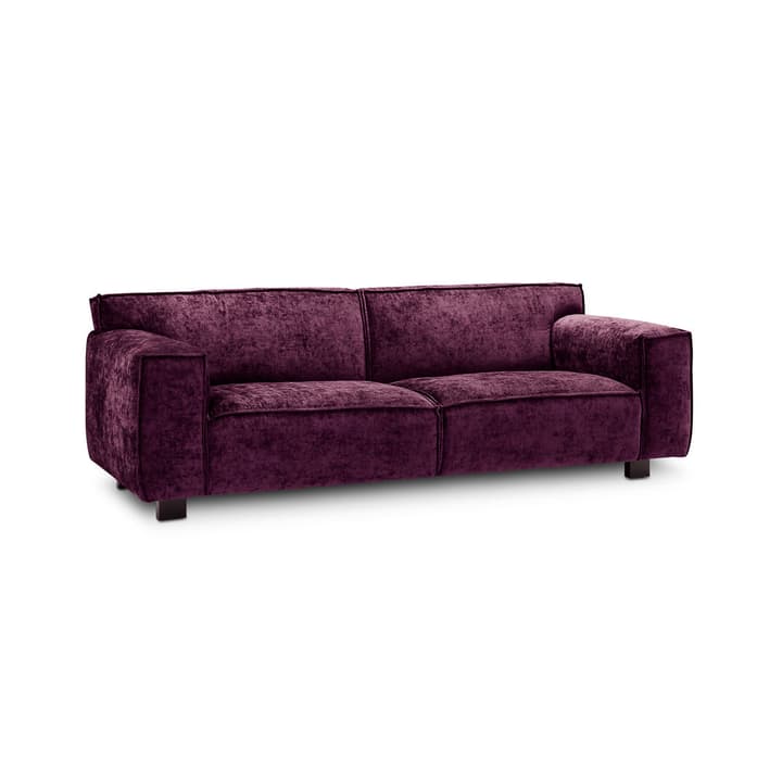 VESTA Eros canapè à 2.5 places VESTA Eros canapè à 2.5 places 360032705407 Dimensions L: 216.0 cm x P: 96.0 cm x H: 74.0 cm Couleur Violett Photo no. 1