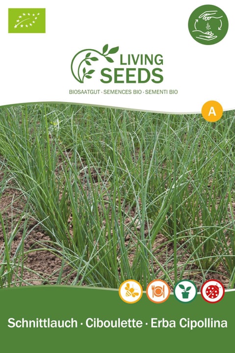 Image of Living Seeds Schnittlauch Kräutersamen bei Do it + Garden von Migros