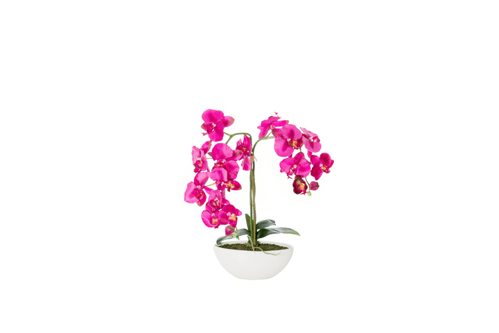Do it + Garden Orchidée artificielle beauty dans une coupe en céramique Orchidée artificielle beauty dans une coupe en céramique Do it + Garden 658956200000 N. figura 1