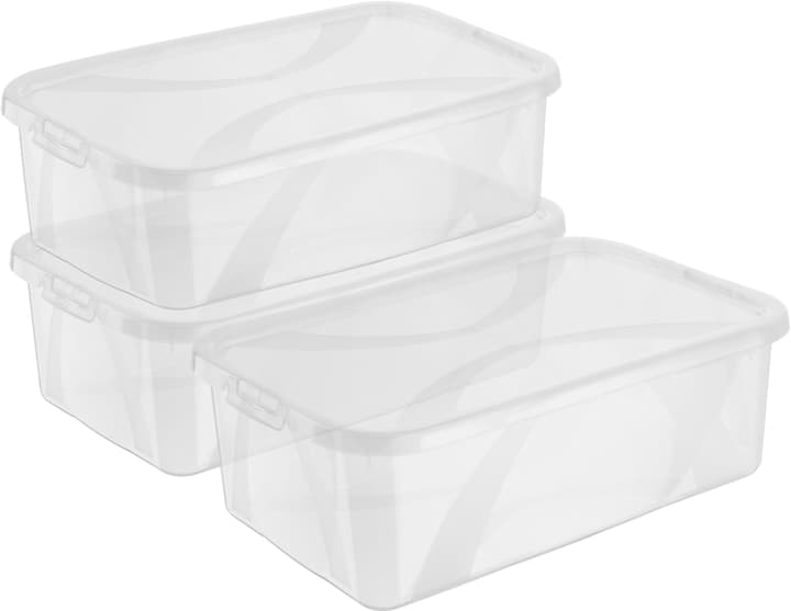 Image of Rotho Arco 5L, 3er Set Aufbewahrungsbox