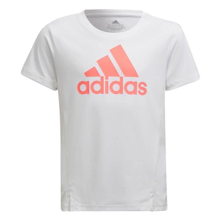 Image of Adidas Designed To Move Tee Fitnessshirt weiss