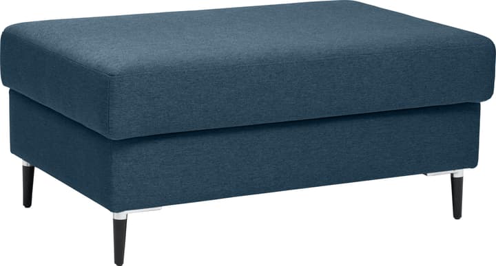DIENER Pouf DIENER Pouf 407426400000 Couleur Bleu Dimensions L: 100.0 cm x P: 64.0 cm x H: 45.0 cm Photo no. 1