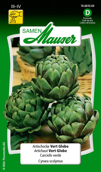 Image of Samen Mauser Artischocke Vert Globe Gemüsesamen
