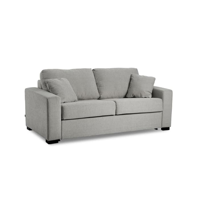 GEORGE Vera 2er Bettsofa GEORGE Vera 2er Bettsofa 360204800000 Grösse B: 120.0 cm x T: 195.0 cm Farbe Hellgrau Bild Nr. 1