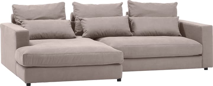 Ecksofa DARWIN