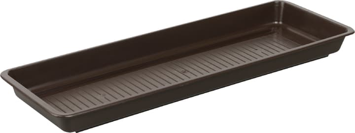 Plastkon Sottovaso per cassetta per fiori in materia sintetica Sottovaso per cassetta per fiori in materia sintetica Plastkon 659577200000 Taglio L: 60.0 cm x L: 17.0 cm x A: 4.5 cm Colore Marrone N. figura 1
