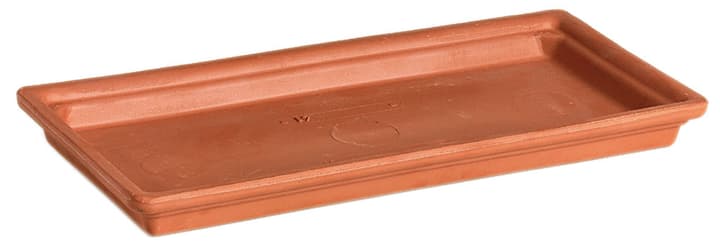 Image of White Roma Untersetzer bei Do it + Garden von Migros