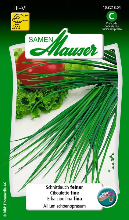 Image of Samen Mauser Schnittlauch feiner Kräutersamen bei Do it + Garden von Migros