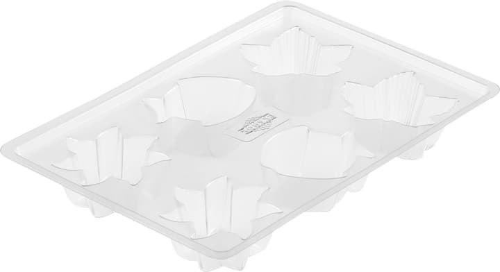 Image of Exagon Schwimmkerzen-Giessform bei Do it + Garden von Migros