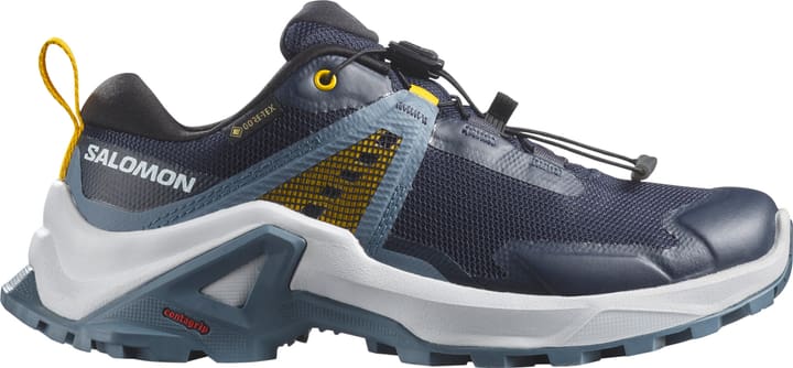 Image of Salomon X Raise GTX Multifunktionsschuhe blau