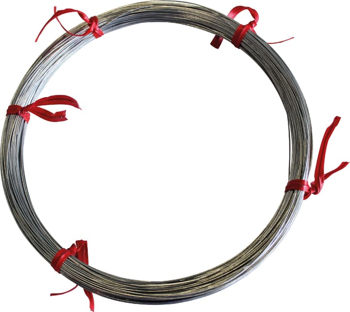 Image of Eisendraht, Länge 50 m / ø 0.5 mm Gartendraht bei Do it + Garden von Migros