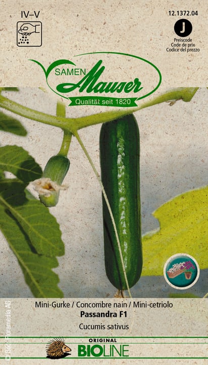 Image of Samen Mauser BIO Mini-Gurke Passandra F1 Gemüsesamen