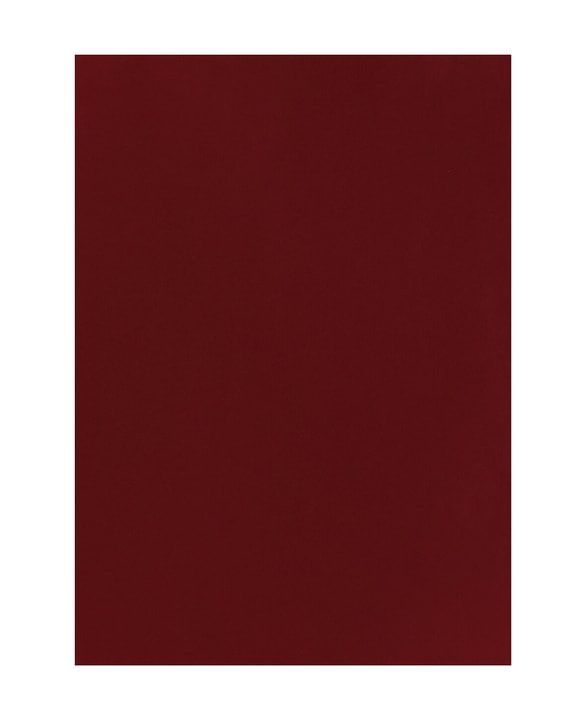 Image of Tonpapier 50 x 70 Rubinrot bei Do it + Garden von Migros