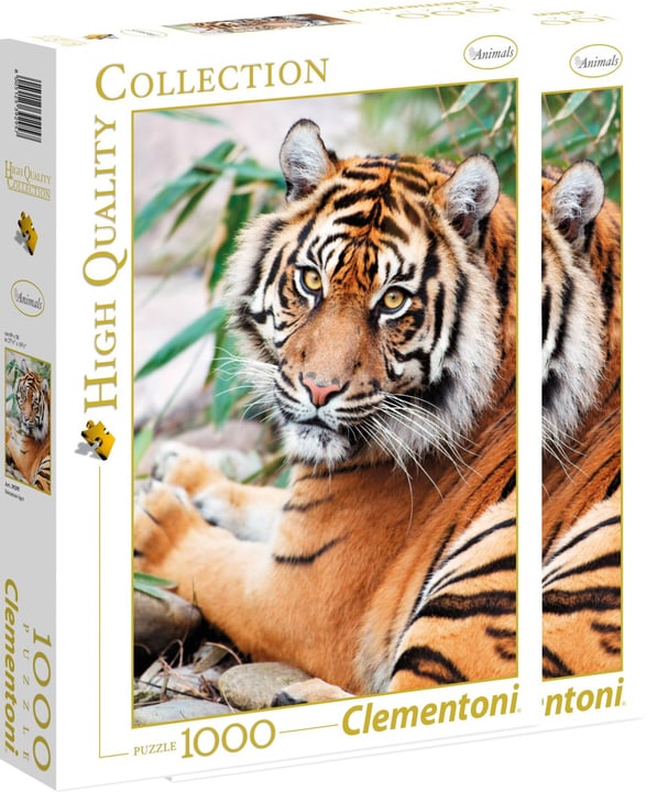Clementoni Clementoni Sumatra Tiger Clementoni Sumatra Tiger Clementoni 748953400000 Bild Nr. 1