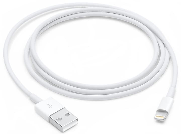 Apple Lightning auf USB Kabel (1m) Kabel Lightning auf USB Kabel (1m) Kabel Apple 773563600000 Bild Nr. 1