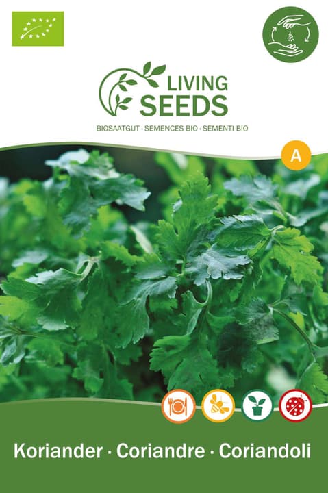 Image of Living Seeds Koriander Kräutersamen
