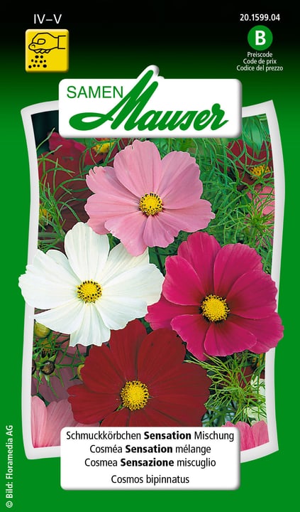Image of Samen Mauser Schmuckkörbchen Sensation Mischung Blumensamen