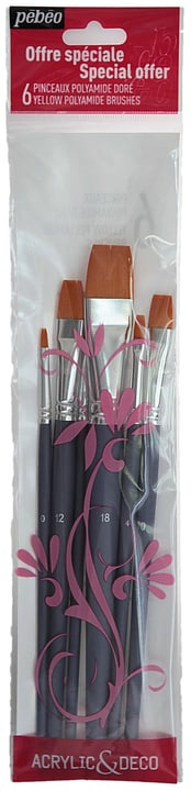 Image of Pebeo Set 6 Pinsel Polyamid bei Do it + Garden von Migros