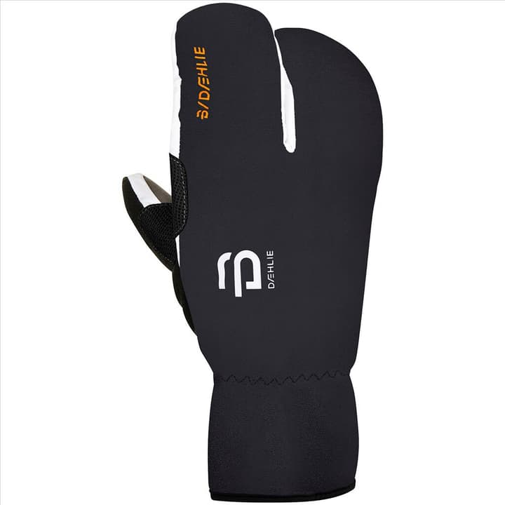 Image of Daehlie Claw Active Handschuhe schwarz