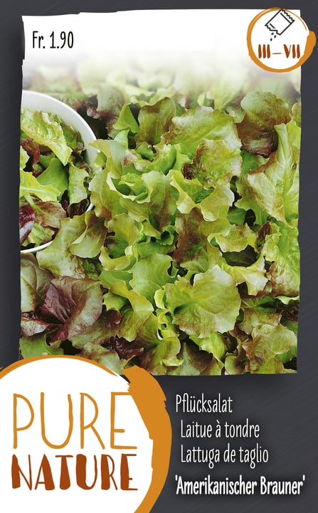 Image of Pflücksalat 'Amerikanischer Brauner' 5g Gemüsesamen bei Do it + Garden von Migros