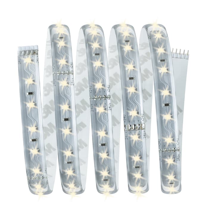 Image of Paulmann MaxLED 500 Basisset 1,5 m, Warmweiss Light-Strip