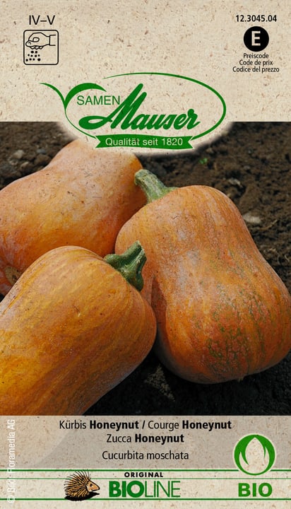 Image of Samen Mauser Knospe Bio Kürbis Honeynut Gemüsesamen