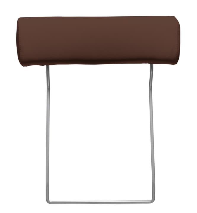 BADER Appuie-tête BADER Appuie-tête 405686282770 Couleur Marron Dimensions L: 55.0 cm Photo no. 1