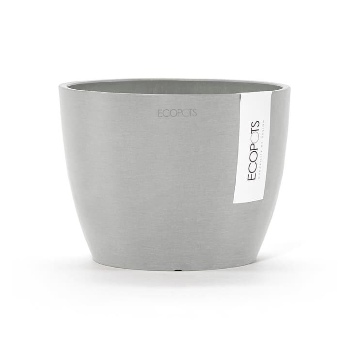 Image of Ecopot Stockholm Blumentopf bei Do it + Garden von Migros