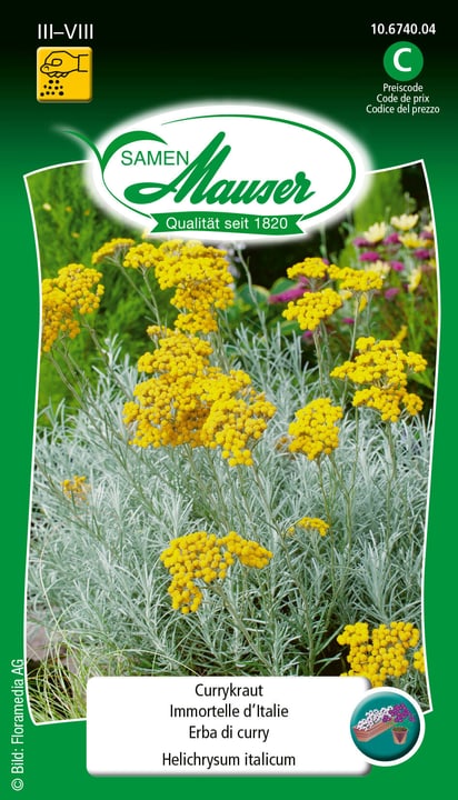 Image of Samen Mauser Currykraut Gemüsesamen