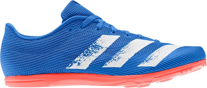 Image of Adidas Allroundstar Nagelschuh blau