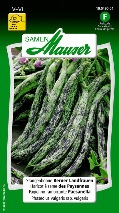 Image of Samen Mauser Stangenbohne Berner Landfrauen Gemüsesamen bei Do it + Garden von Migros