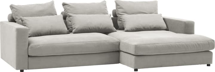 Ecksofa DARWIN