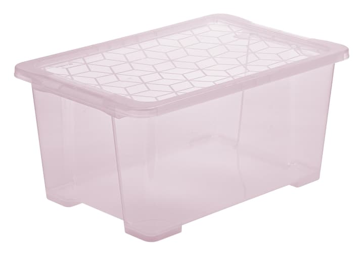 Image of Rotho EVO EASY Box 44 l mit Deckel Aufbewahrungsbox bei Do it + Garden von Migros