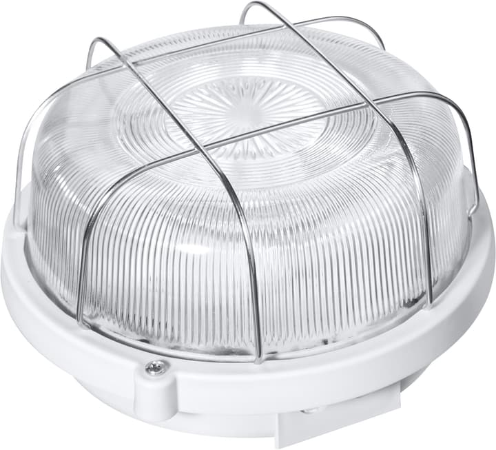 Image of Steffen Iso Leuchte rund Arbeitslampe bei Do it + Garden von Migros