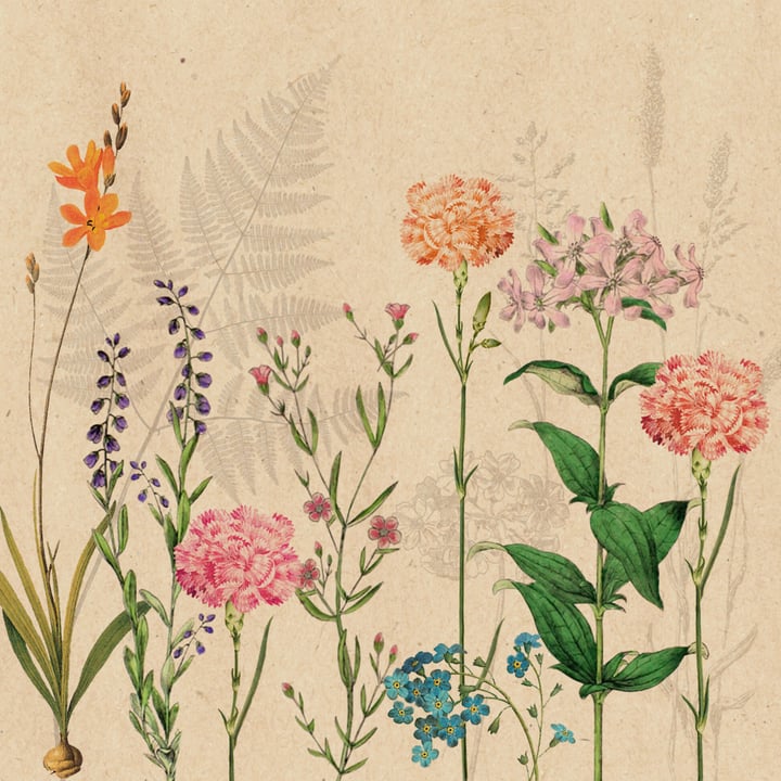Image of Feldner + Partner By Nature Botanica Servietten