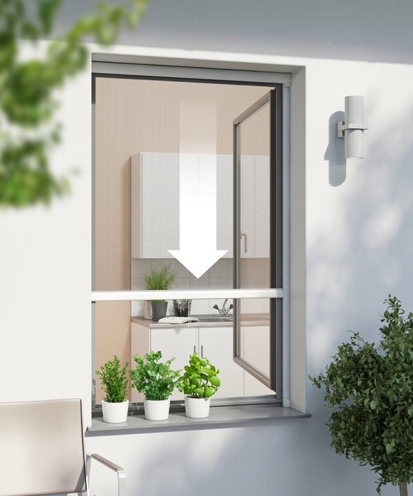 Image of Windhager Fensterrollo PLUS Insektenschutz