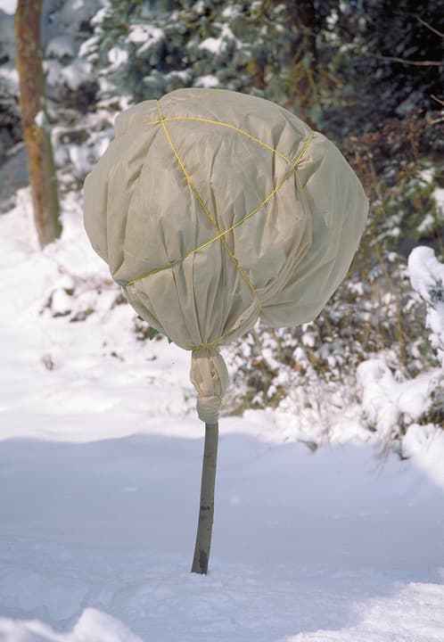 Image of Windhager PROTECT 5 x 2 m Wintervlies bei Do it + Garden von Migros