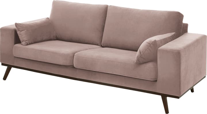 MORITZ Canapé 2.5 places MORITZ Canapé 2.5 places 405741925381 Couleur Gris clair Dimensions L: 218.0 cm x P: 90.0 cm x H: 81.0 cm Photo no. 1