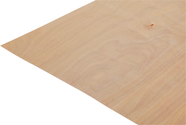 Image of Flugzeugsperrholz Birke Holzzuschnitt bei Do it + Garden von Migros