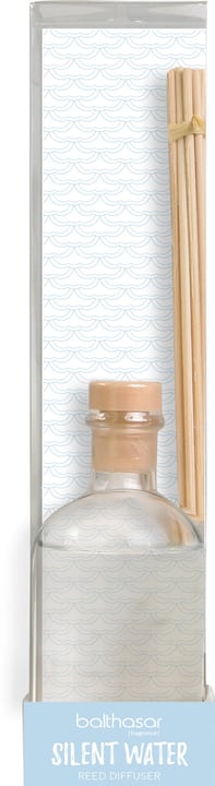 CLEAR Parfum d'ambiance CLEAR Parfum d'ambiance 440726400000 Arôme Cool water Dimensions L: 5.3 cm x P: 5.3 cm x H: 23.5 cm Photo no. 1