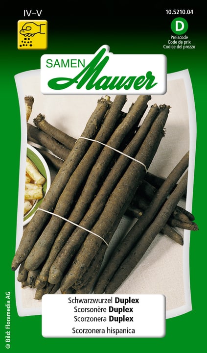 Image of Samen Mauser Schwarzwurzel Duplex Gemüsesamen bei Do it + Garden von Migros