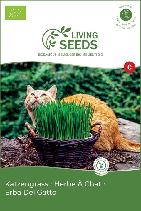 Image of Living Seeds Katzengras Kräutersamen