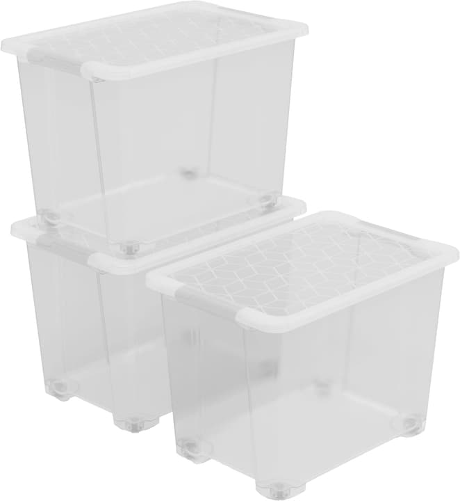 Image of Rotho Evo Easy, 65L, 3er Set Aufbewahrungsbox